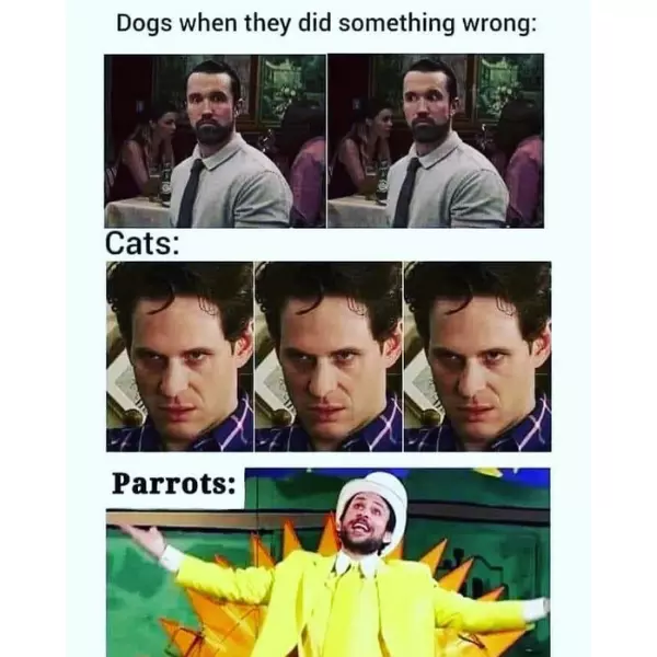 proudly+and+joyfully%2C+those+diabolical+devils