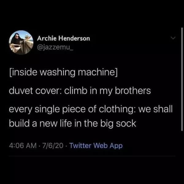 what+really+happens+in+the+washer