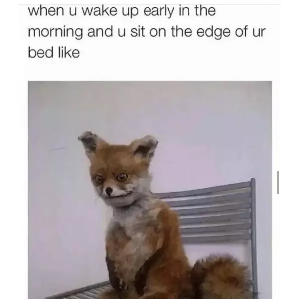 debating+whether+you+should+lay+back+down+or+muster+up+the+energy+to+get+moving