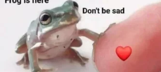 helpful+froggy