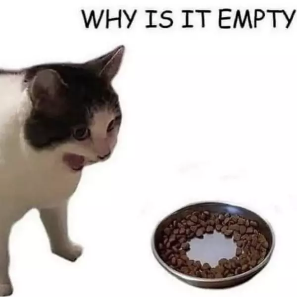 it%26%238217%3Bs+right+there+stop+crying+plz