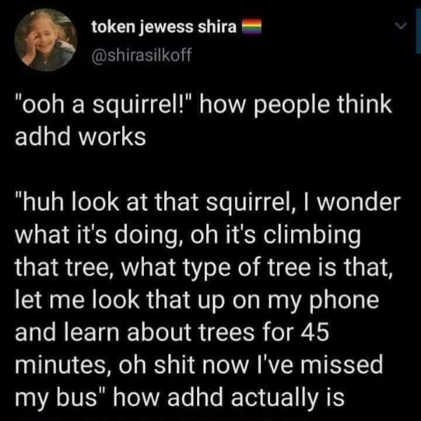 but+what+about+the+genus+of+squirrel%26%238230%3B