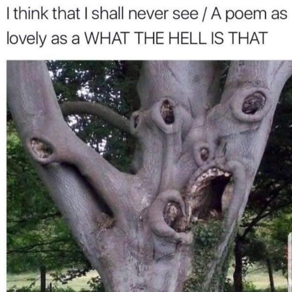 this+is+known+as+the+%26%238220%3Bnope%26%238221%3B+tree