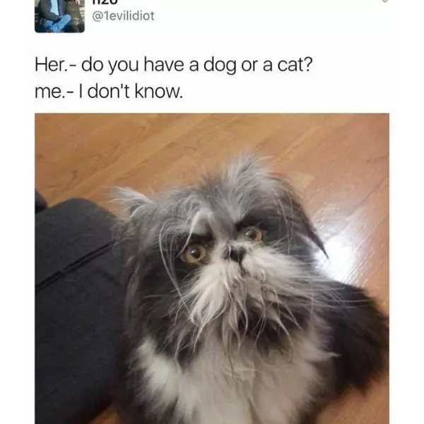 the+answer+is+%26%238220%3Byes%26%238221%3B