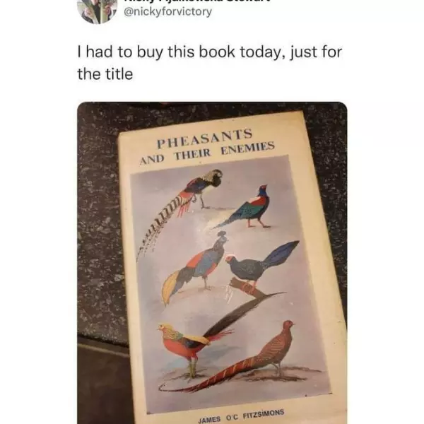 the+drama+and+intrigue+is+irresistible