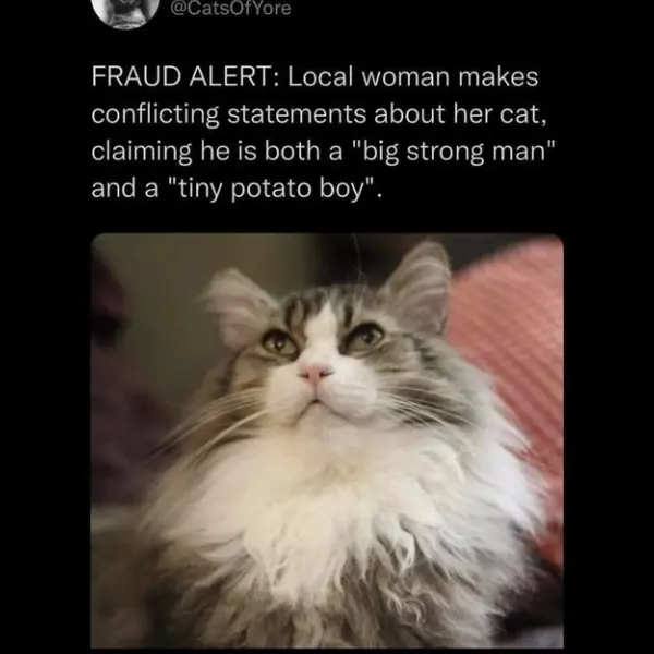 well+which+one+is+it%2C+then%3F%21