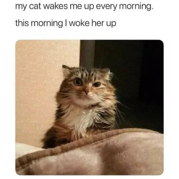 the+waker+has+become+the+wakee