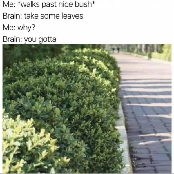 this+has+to+be+an+old+thought+from+previous+evolutions%2C+right%3F