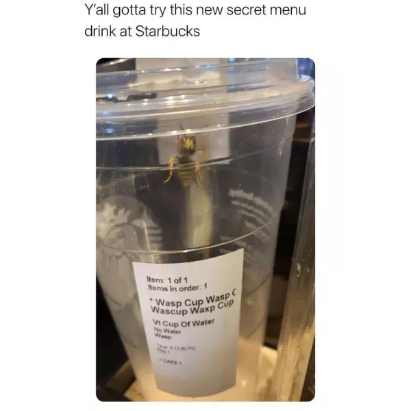 so+this+is+what+all+the+buzz+is+about