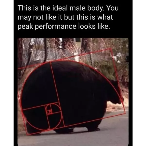 %2Anotes+down+how+%26%238220%3Bbears+are+ideal%26%238221%3B%2A