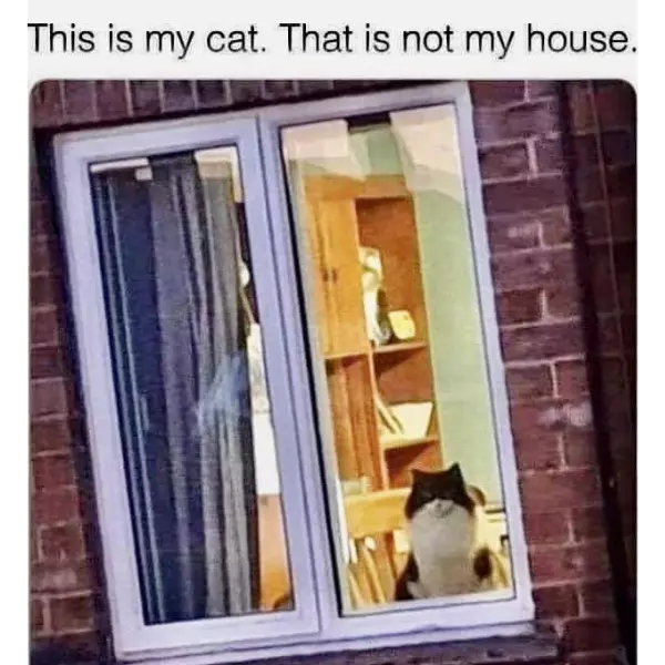 the+game+of+cat+and+house