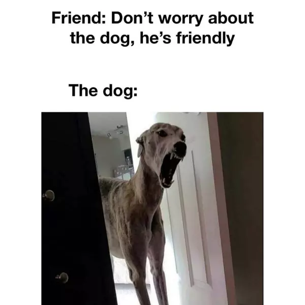 %2Aliterally+a+helldemon+that+makes+cerberus+look+like+a+chump%2A