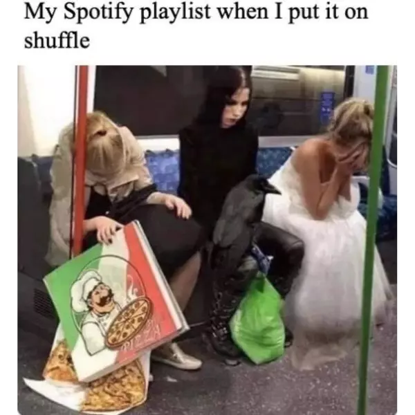 get+ready+for+a+wild+ride