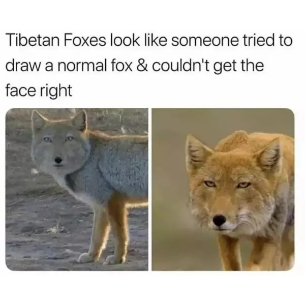 this+what+people+mean+when+they+tell+me+i%26%238217%3Bm+foxy