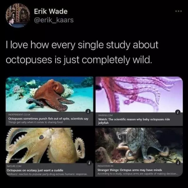 octopus+studies+are+really+cutting+edge