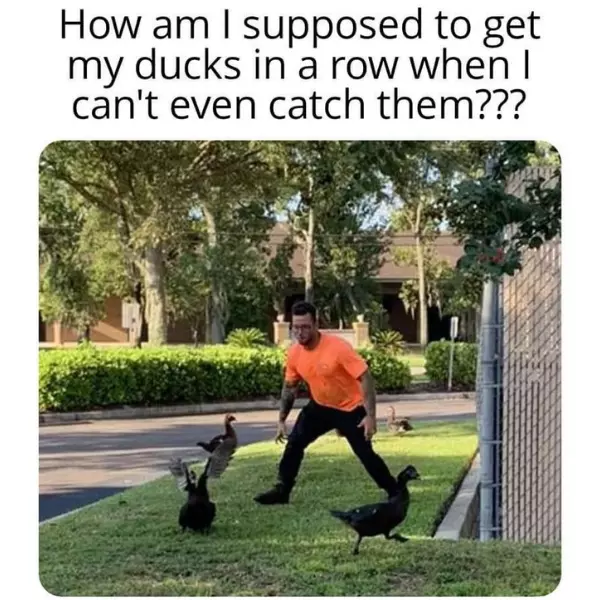 it%26%238217%3Bs+not+as+easy+as+it%26%238217%3Bs+quacked+up+to+be