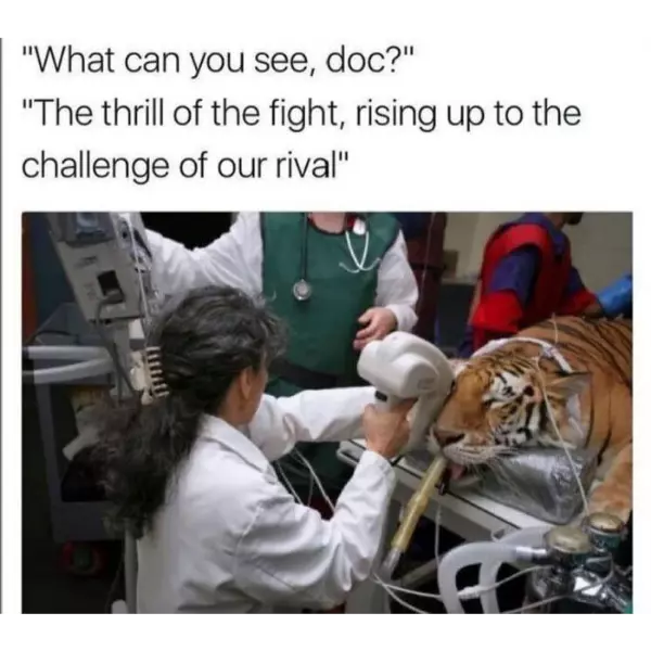 me+if+i+was+a+vet+doctor