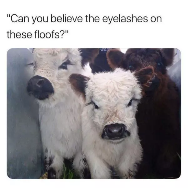 lambs+serving%2C+not+being+served