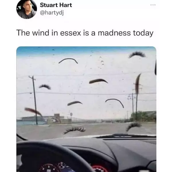 someone+was+lashing+out