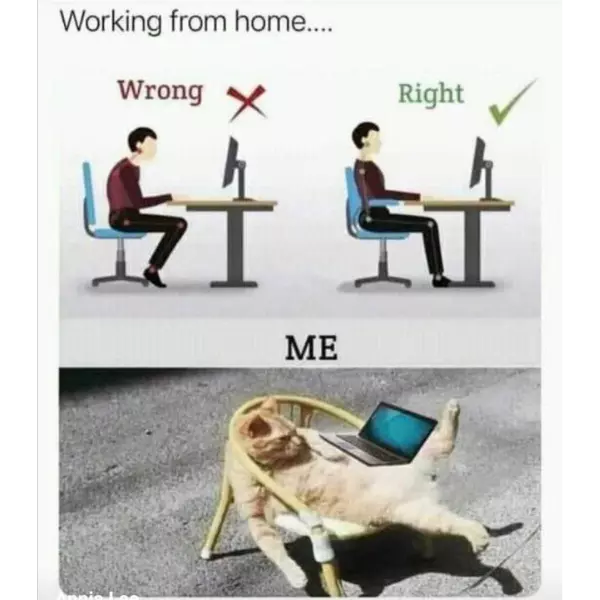 a+masterclass+in+professionalism