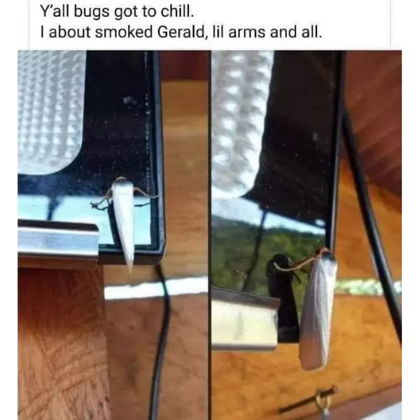 nearly+had+blunt+trauma