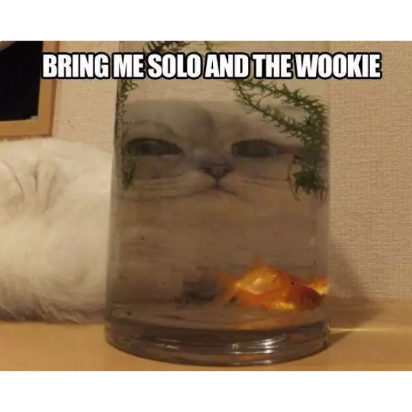 whao+uba+bkoha+biw+tah%2C+uba+doth+wa+docmauu