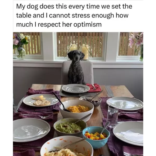 one+of+these+days%2C+it+has+to+work