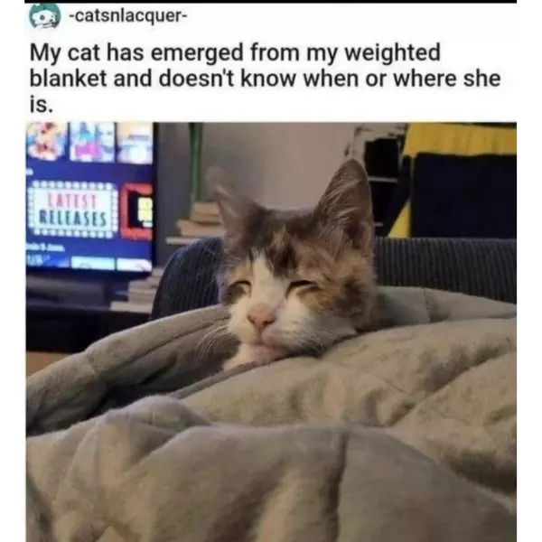 that%26%238217%3Bs+the+type+of+deep+sleep+i+need