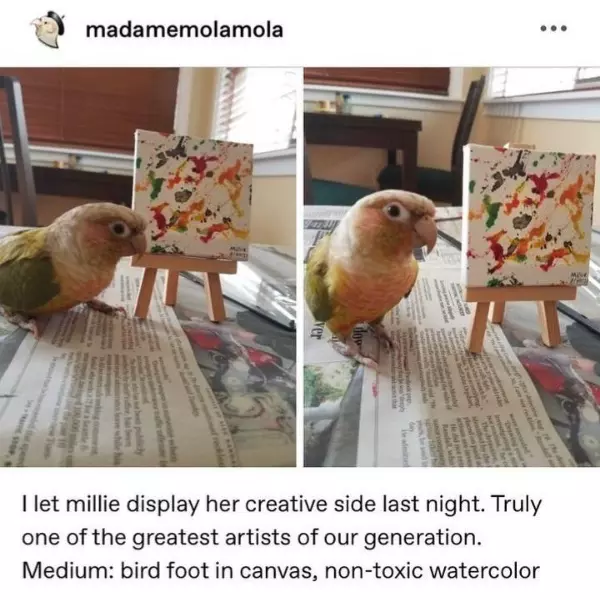 this+bird+is+a+true+artist