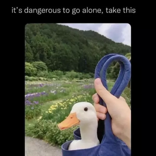 there%26%238217%3Bs+never+a+time+where+this+image+%2Fshouldn%26%238217%3Bt%2F+be+posted