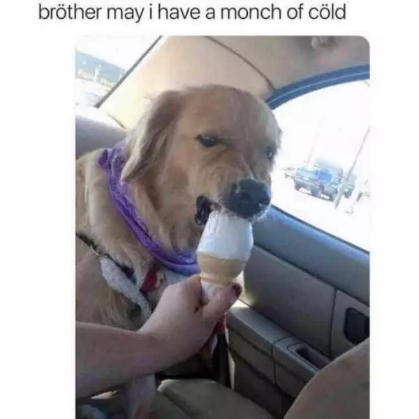 need+eat+the+c%C3%B6ld