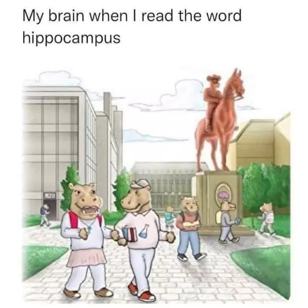 i+hope+they%26%238217%3Bre+learning+good