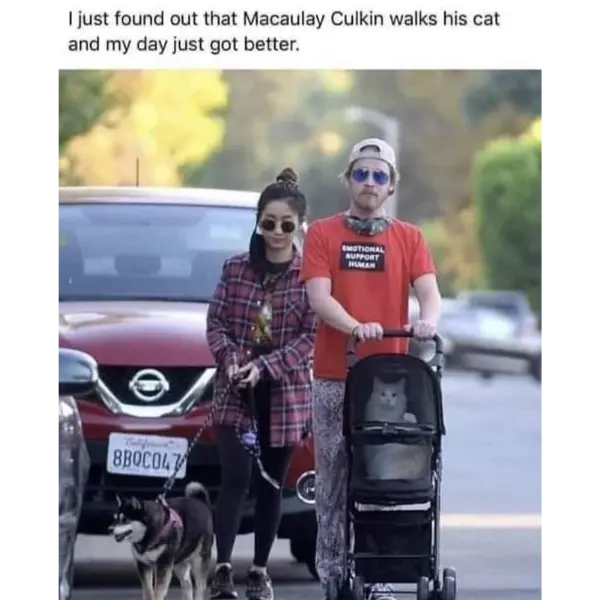 that+cat+is+living+its+best+life