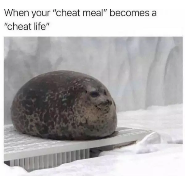 hey%2C+at+least+it%26%238217%3Bs+a+good+life