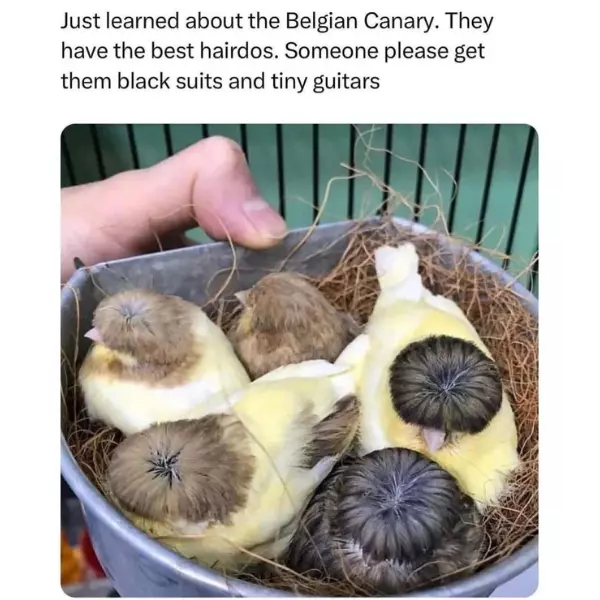 they%26%238217%3Bre+about+to+take+the+world+by+storm