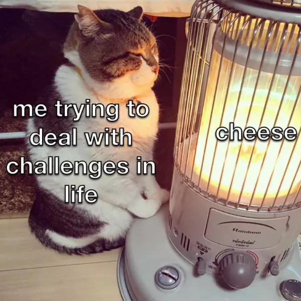 cheese+helps+all