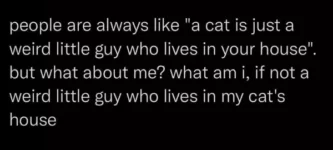 maybe+we%26%238217%3Bre+all+little+guys+in+a+cat%26%238217%3Bs+world