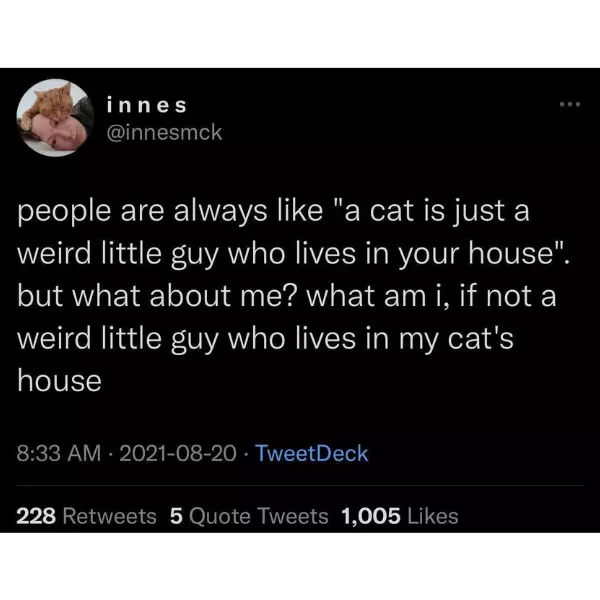 maybe+we%26%238217%3Bre+all+little+guys+in+a+cat%26%238217%3Bs+world