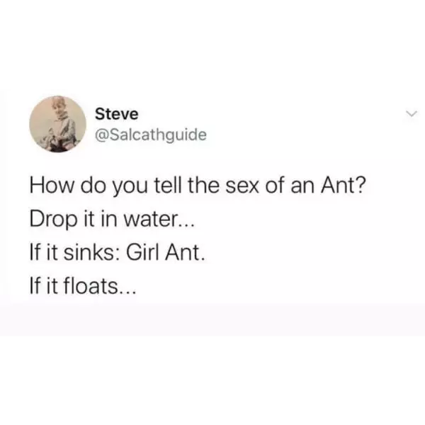 this+dad+joke+bugs+me