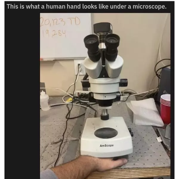 wow+that%26%238217%3Bs+fascinating