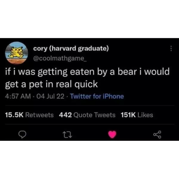 one+last+pet+for+the+floofy+boi