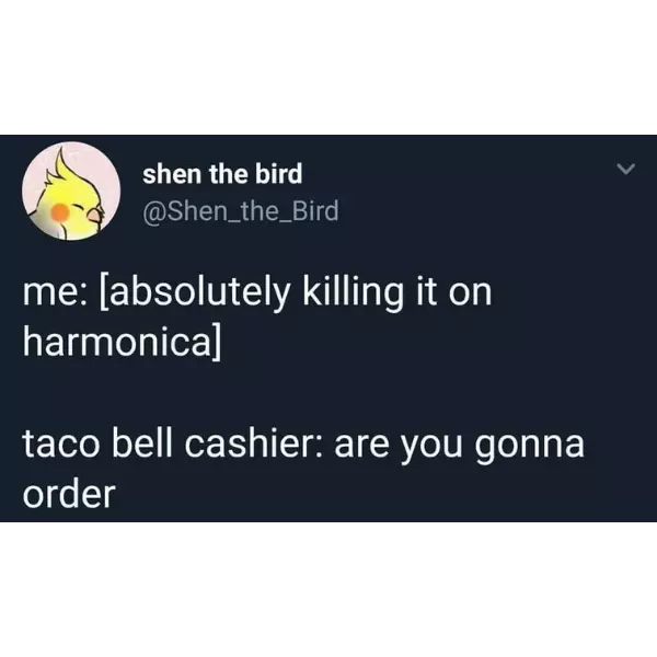 i+dont+wanna+tacobout+it