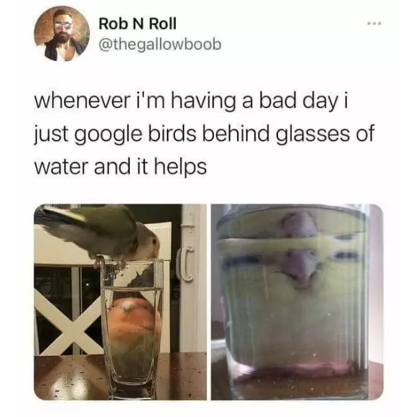 how+to+make+a+day+better