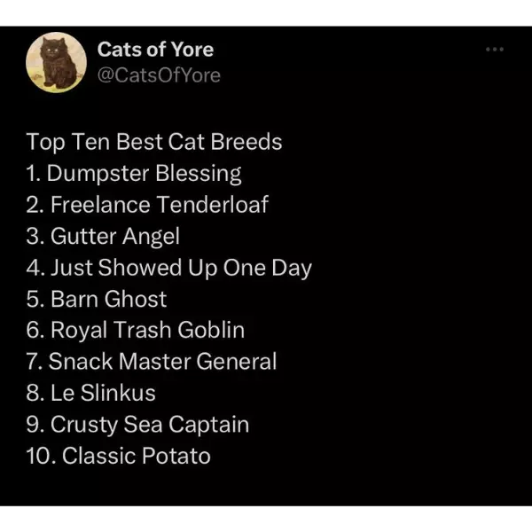 this+list+speaks+no+lie