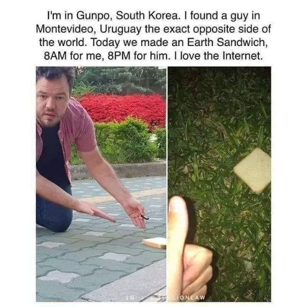 we+are+all+now+sandwich