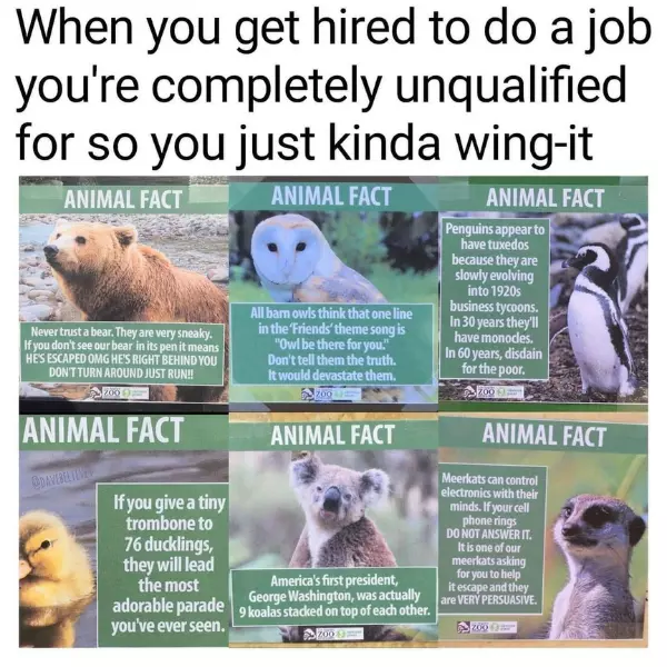 all+these+facts+are+100%25+true