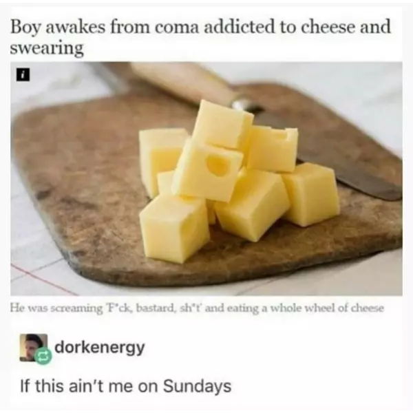 never+has+a+headline+been+so+applicable+to+my+existence