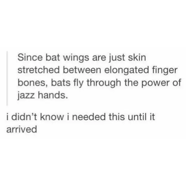 that%26%238217%3Bs+bat+crazy