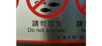 to+animal+or+not+to+animal