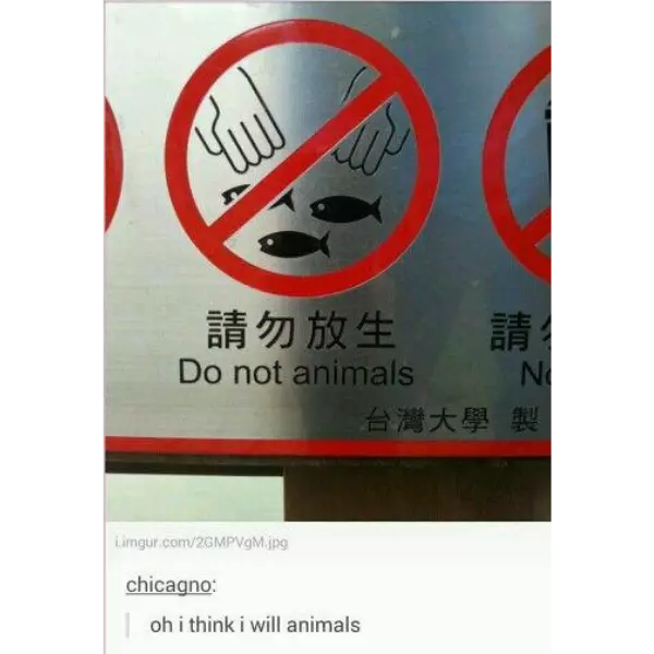 to+animal+or+not+to+animal